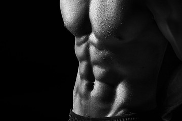 Image showing The torso of attractive male body builder on black background.