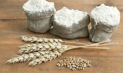 Image showing flour and wheat