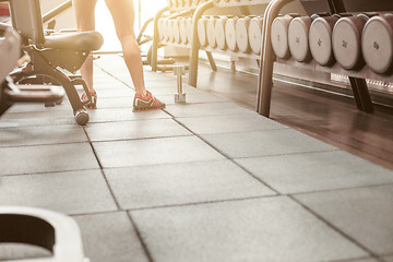 Image showing Rows of dumbbells in the gym