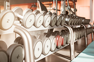 Image showing Rows of dumbbells in the gym