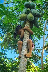 Image showing Shy girl on tree