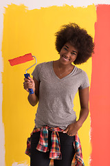 Image showing black woman painting wall