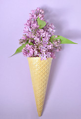 Image showing lilac in cone