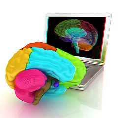 Image showing creative three-dimensional model of real human brain and scan on