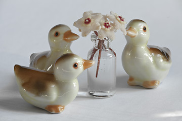 Image showing  Ducklings and Hoya flowers