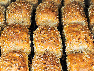 Image showing Closeup of freshly made sunflower seed buns, side by side, on a 