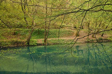 Image showing Small lake with trees