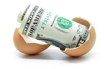 Image showing US dollar on cracked egg