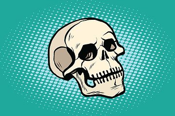 Image showing human skull head skeleton