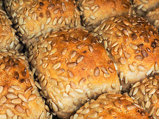 Image showing Closeup of freshly made sunflower seed buns, side by side, on a 