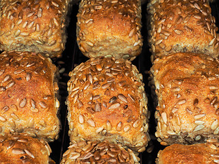 Image showing Closeup of freshly made sunflower seed buns, side by side, on a 