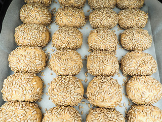 Image showing Closeup of freshly made sunflower seed buns on a waxed paper tra