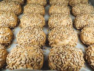 Image showing Closeup of freshly made sunflower seed buns on a waxed paper tra