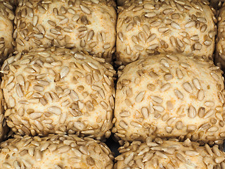 Image showing Closeup of freshly made sunflower seed buns on a waxed paper tra