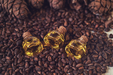 Image showing Oil of cedar nuts