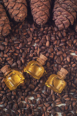 Image showing Oil of cedar nuts