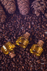 Image showing Oil of cedar nuts