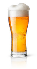 Image showing Light beer in sweaty glass