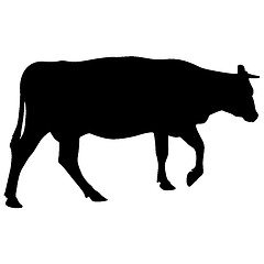 Image showing Black silhouette of cash cow on white background