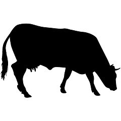 Image showing Black silhouette of cash cow on white background