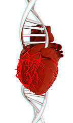 Image showing DNA and heart. 3d illustration. Anaglyph. View with red/cyan gla