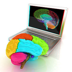 Image showing creative three-dimensional model of real human brain and scan on