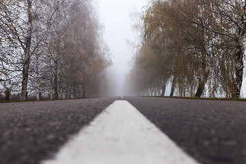 Image showing asphalted road, autumn