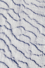 Image showing snow surface, winter