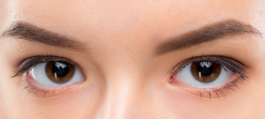 Image showing Close up image of female brown eyes