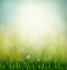 Image showing Grass, Flower And Butterfly 