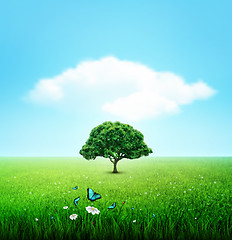 Image showing Summer, Field, Sky, Tree, Grass, Flower And Butterflies