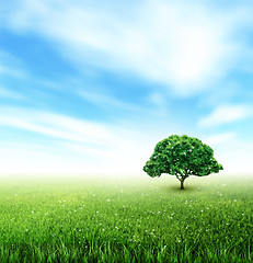 Image showing Summer, Field, Sky, Tree, Grass, Flowers