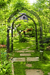 Image showing Lush green garden