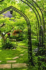 Image showing Lush green garden