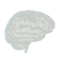 Image showing 3D illustration of human brain. Anaglyph. View with red/cyan gla