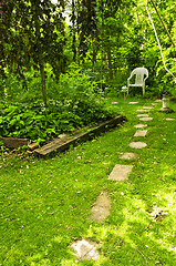 Image showing Green garden