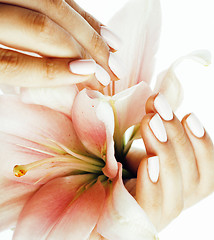 Image showing beauty delicate hands with manicure holding flower lily close up isolated on white