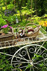 Image showing Flower cart in garden