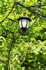 Image showing Arbor with lantern