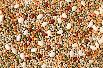 Image showing Beans and lentils.