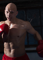 Image showing Aggressive boxer in training