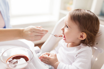 Image showing mother feeding baby with puree at home