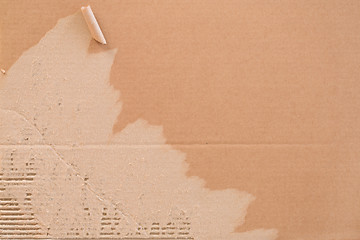 Image showing Torn corrugated cardboard.