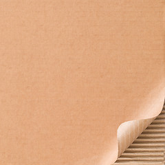 Image showing Corrugated cardboard with curled corner