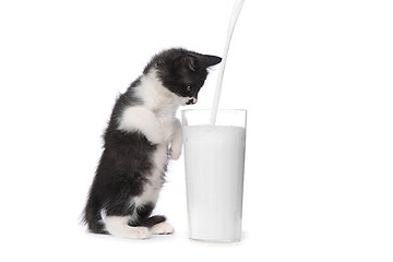 Image showing Cute Kitten Watching Milk Pour Into a Glass