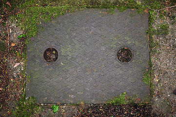 Image showing Metal drain cover in concrete path