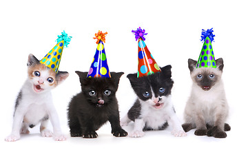 Image showing Birthday Song Singing Kittens on White Background