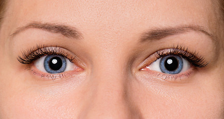 Image showing Face woman with eyes and eyelashes