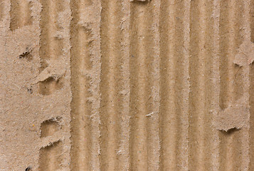 Image showing Piece of corrugated cardboard