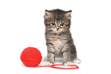 Image showing Playful Kitten With Red Ball of Yarn
